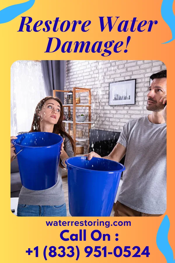 water restoration Stellar Damage Restoration Partners Ottawa Hills