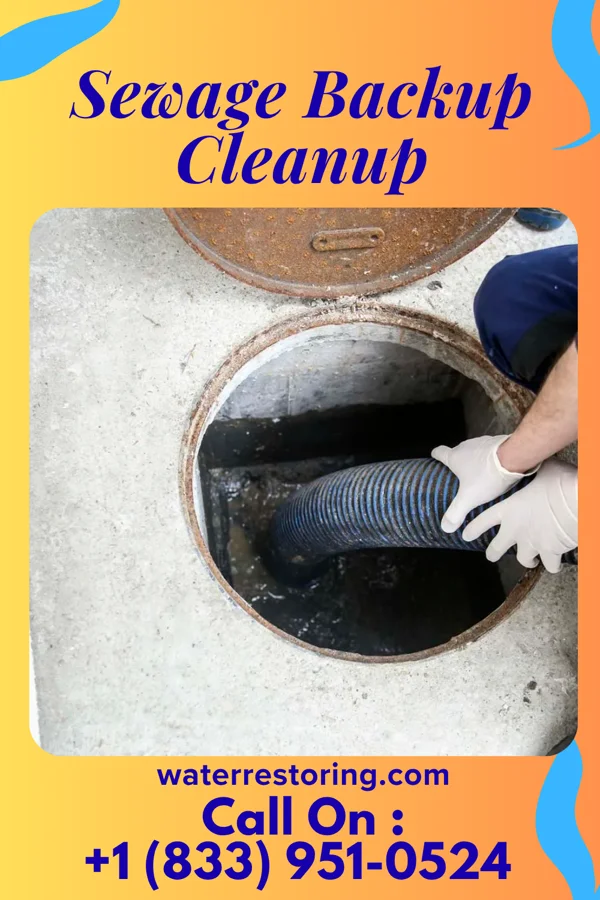 Sewage Backup Cleanup in Ottawa Hills, OH